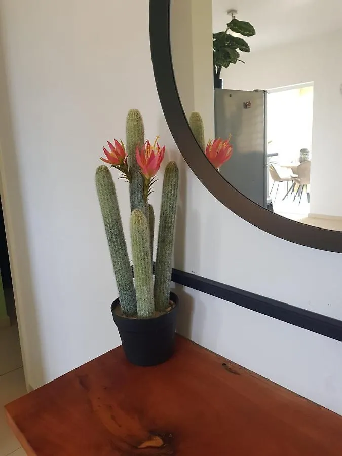 Appartement Hibiscus Beach House Apartments, Cas Grandi